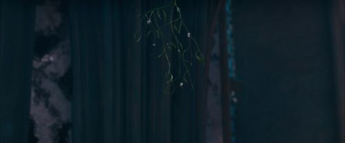 OdF-Potterish_4771.jpg