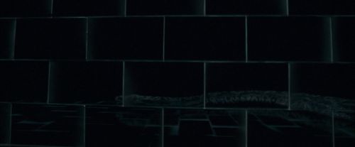 OdF-Potterish_4906.jpg