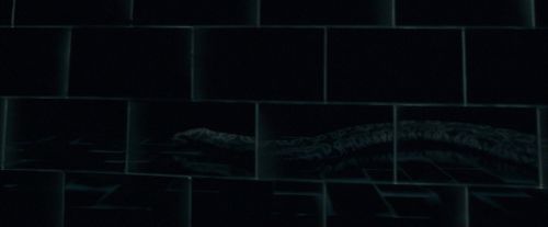 OdF-Potterish_4907.jpg