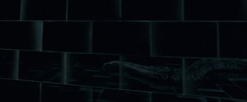 OdF-Potterish_4908.jpg