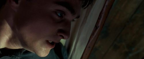 Click to view full size image
==============
OdF-Potterish_4948.jpg OdF-Potterish_4948.jpg