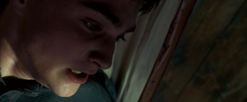 Click to view full size image
==============
OdF-Potterish_4949.jpg OdF-Potterish_4949.jpg