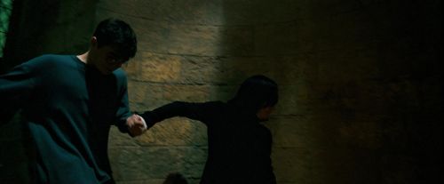 OdF-Potterish_5040.jpg