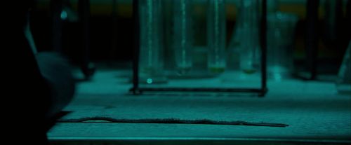 OdF-Potterish_5052.jpg