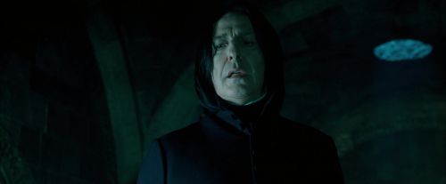 Click to view full size image
==============
OdF-Potterish_5110.jpg OdF-Potterish_5110.jpg