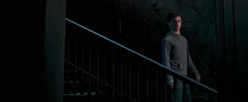 OdF-Potterish_5265.jpg