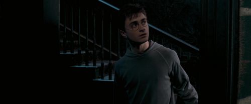 Click to view full size image
==============
OdF-Potterish_5272.jpg OdF-Potterish_5272.jpg