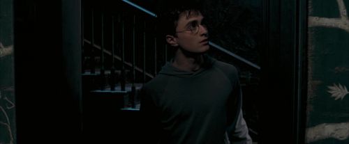 Click to view full size image
==============
OdF-Potterish_5273.jpg OdF-Potterish_5273.jpg