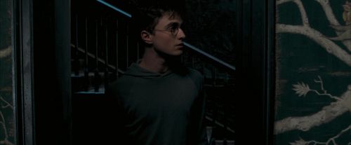 OdF-Potterish_5274.jpg