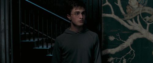 Click to view full size image
==============
OdF-Potterish_5275.jpg OdF-Potterish_5275.jpg