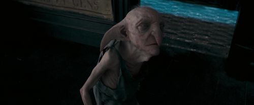 Click to view full size image
==============
OdF-Potterish_5283.jpg OdF-Potterish_5283.jpg