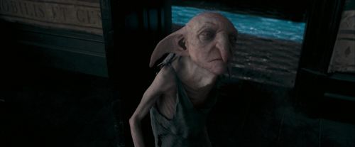 OdF-Potterish_5286.jpg
