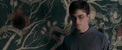 Click to view full size image
==============
OdF-Potterish_5287.jpg OdF-Potterish_5287.jpg