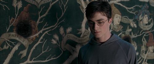 Click to view full size image
==============
OdF-Potterish_5288.jpg OdF-Potterish_5288.jpg