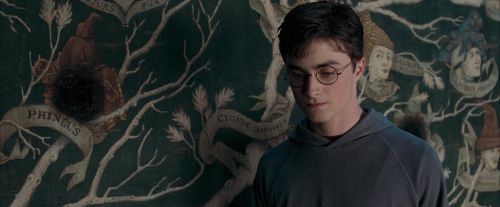 OdF-Potterish_5289.jpg
