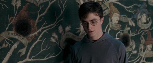 Click to view full size image
==============
OdF-Potterish_5292.jpg OdF-Potterish_5292.jpg