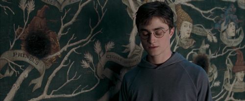 OdF-Potterish_5293.jpg
