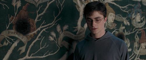 OdF-Potterish_5294.jpg