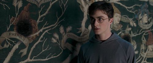 OdF-Potterish_5295.jpg