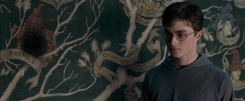 Click to view full size image
==============
OdF-Potterish_5308.jpg OdF-Potterish_5308.jpg