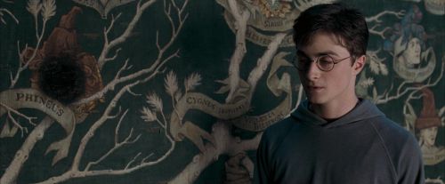 OdF-Potterish_5309.jpg