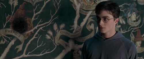 Click to view full size image
==============
OdF-Potterish_5310.jpg OdF-Potterish_5310.jpg