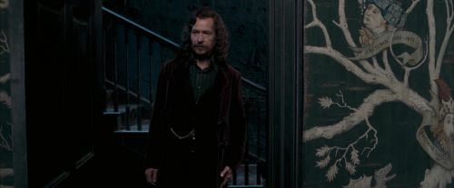 Click to view full size image
==============
OdF-Potterish_5314.jpg OdF-Potterish_5314.jpg