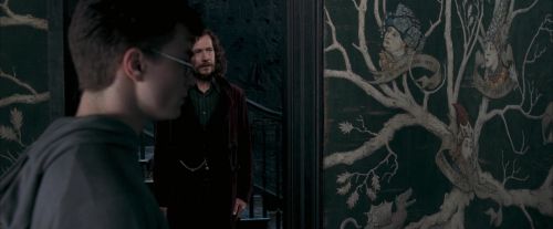 Click to view full size image
==============
OdF-Potterish_5321.jpg OdF-Potterish_5321.jpg