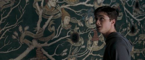 Click to view full size image
==============
OdF-Potterish_5324.jpg OdF-Potterish_5324.jpg