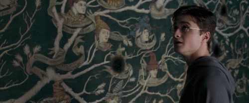 Click to view full size image
==============
OdF-Potterish_5325.jpg OdF-Potterish_5325.jpg