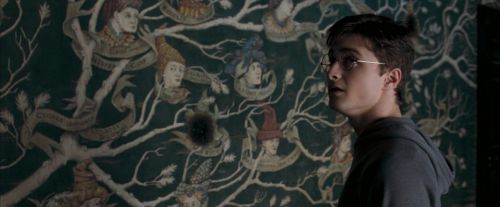 Click to view full size image
==============
OdF-Potterish_5326.jpg OdF-Potterish_5326.jpg