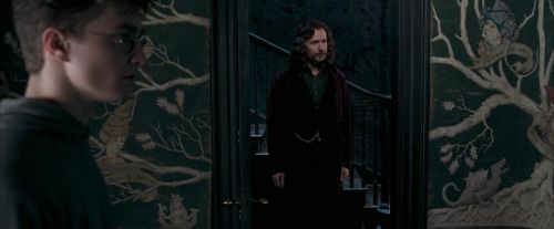 Click to view full size image
==============
OdF-Potterish_5331.jpg OdF-Potterish_5331.jpg