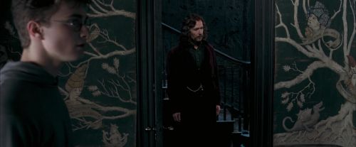 OdF-Potterish_5332.jpg