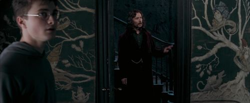 Click to view full size image
==============
OdF-Potterish_5333.jpg OdF-Potterish_5333.jpg