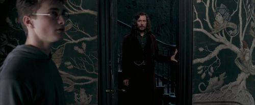 OdF-Potterish_5335.jpg