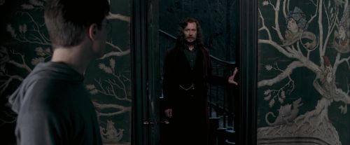 Click to view full size image
==============
OdF-Potterish_5337.jpg OdF-Potterish_5337.jpg
