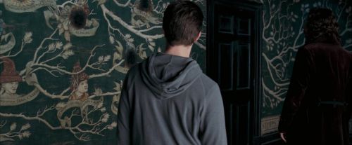 OdF-Potterish_5350.jpg
