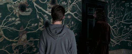 Click to view full size image
==============
OdF-Potterish_5353.jpg OdF-Potterish_5353.jpg