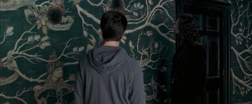 OdF-Potterish_5356.jpg