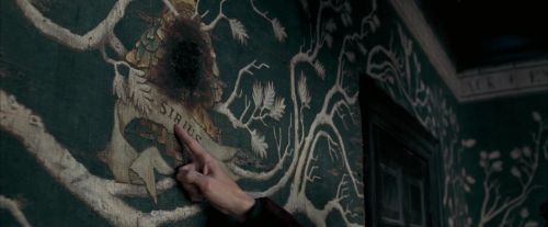 Click to view full size image
==============
OdF-Potterish_5359.jpg OdF-Potterish_5359.jpg
