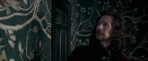 Click to view full size image
==============
OdF-Potterish_5365.jpg OdF-Potterish_5365.jpg