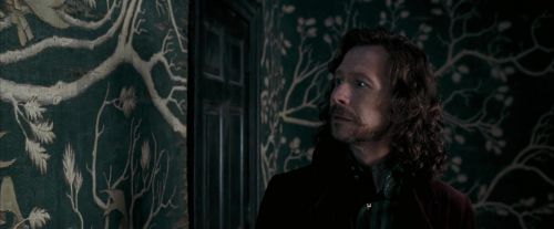 Click to view full size image
==============
OdF-Potterish_5366.jpg OdF-Potterish_5366.jpg