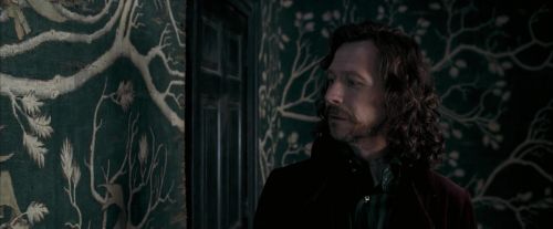 Click to view full size image
==============
OdF-Potterish_5367.jpg OdF-Potterish_5367.jpg