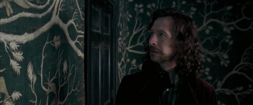 Click to view full size image
==============
OdF-Potterish_5368.jpg OdF-Potterish_5368.jpg