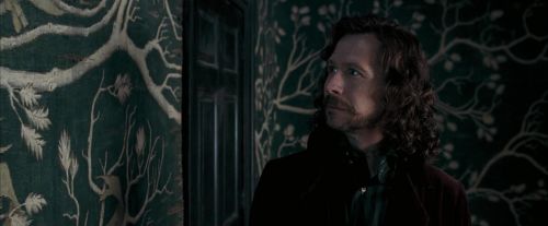 Click to view full size image
==============
OdF-Potterish_5369.jpg OdF-Potterish_5369.jpg