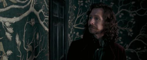 Click to view full size image
==============
OdF-Potterish_5371.jpg OdF-Potterish_5371.jpg