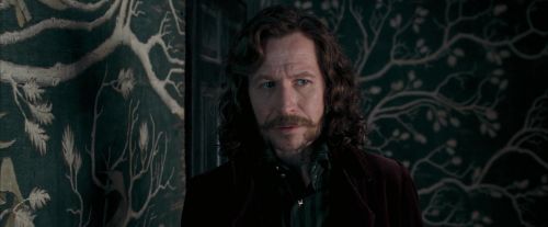 OdF-Potterish_5378.jpg