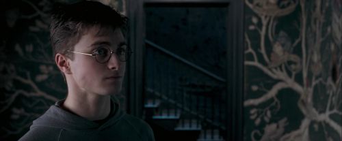 OdF-Potterish_5379.jpg
