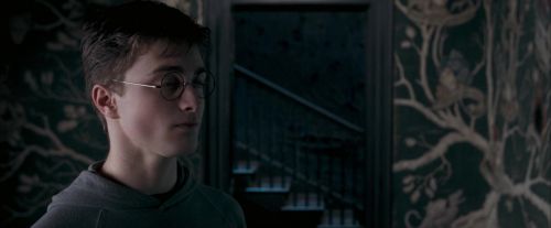OdF-Potterish_5380.jpg
