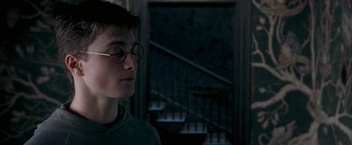 Click to view full size image
==============
OdF-Potterish_5381.jpg OdF-Potterish_5381.jpg